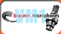 logo Brauner VM1