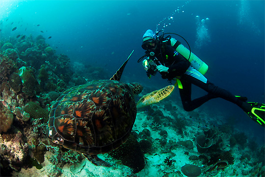 Badian Resort plongée sous marine