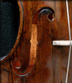 ouie  violon attribué à Gobetti 1706