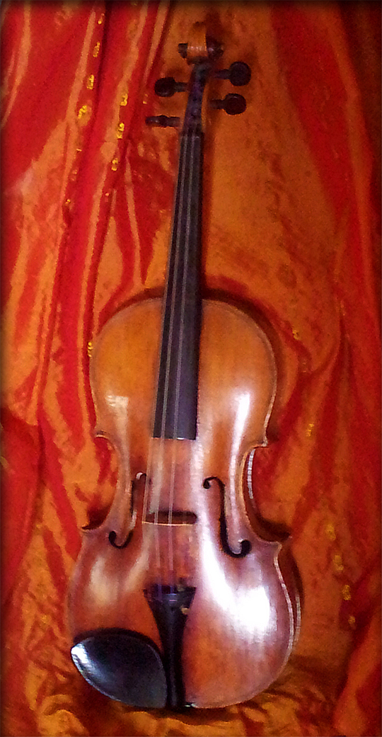 violon de carlo Testore de 1740